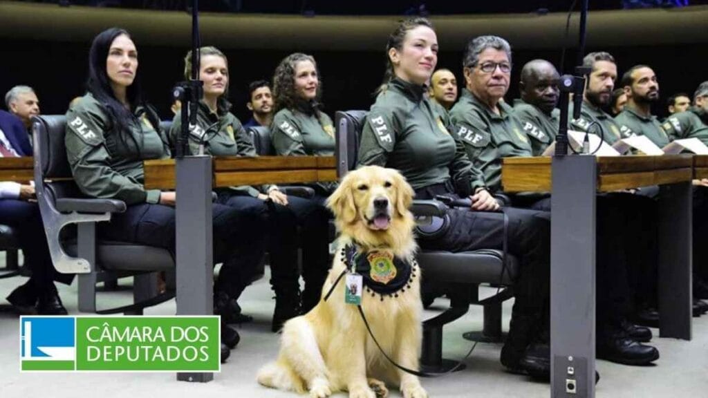 Grupo de policiais legislativos federais sentados em plenário da Câmara dos Deputados, usando uniformes verdes com a sigla "PLF" no braço. Em destaque, um cão da corporação, da raça golden retriever, com colete e crachá oficial, sentado à frente dos agentes. Ao fundo, outras pessoas acompanham a sessão. Logotipo da Câmara dos Deputados no canto inferior esquerdo.