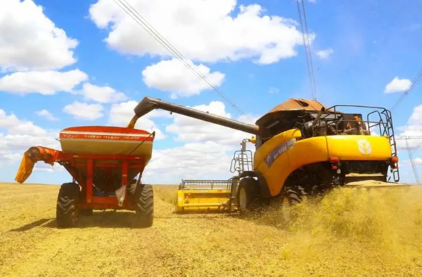 Combustíveis e Agro: o crime infestou geral-Uma colheitadeira amarela descarrega grãos em um trator com carreta agrícola em uma lavoura, sob céu azul com nuvens esparsas.