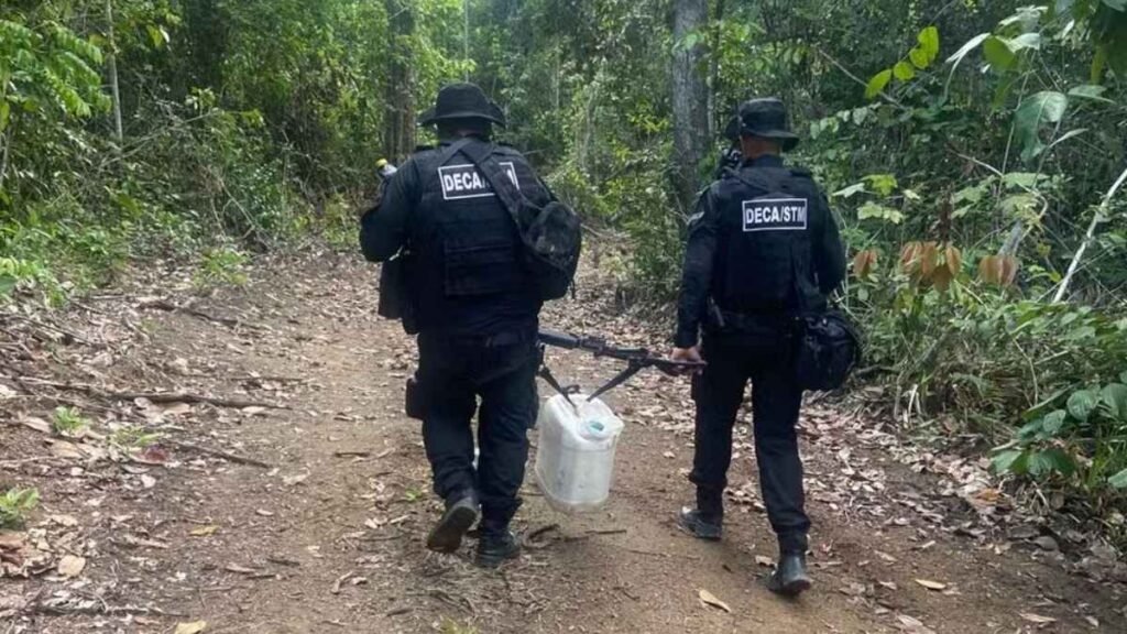 Dois agentes do DECA/STM, vestidos de preto e armados, caminham por trilha em área de floresta carregando um galão apreendido