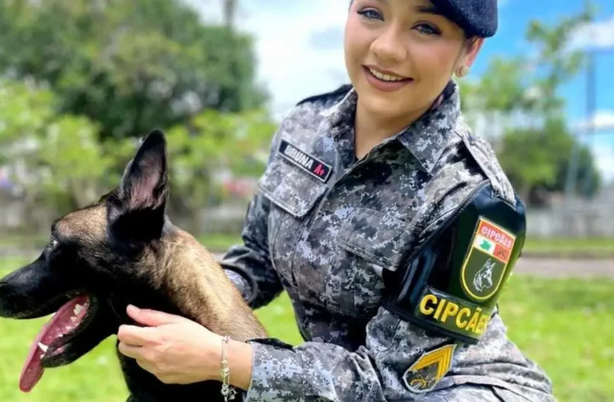 Como ONGs e Especialistas transformaram o policial em vilão