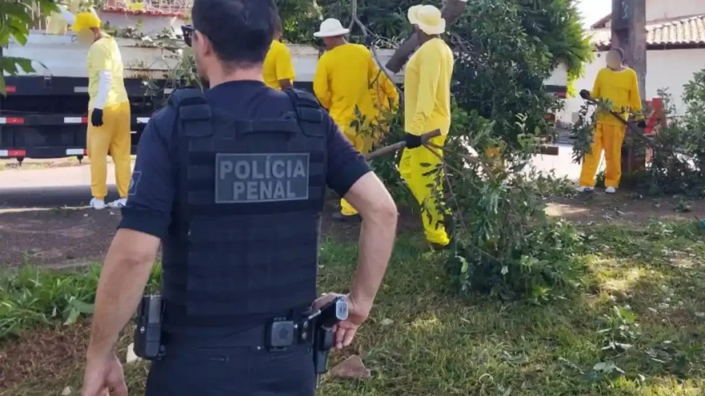 Policial penal de colete preto observa grupo de detentos uniformizados de amarelo que realizam trabalho externo de limpeza e poda de árvores em via pública.